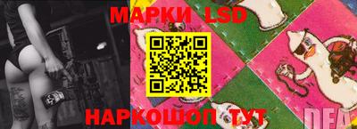 крисы Сланцы