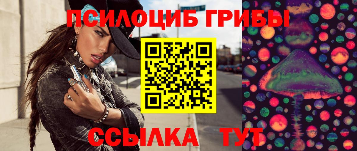 Галлюциногенные грибы Psilocybine cubensis  Вход с VPN  Новый Уренгой 